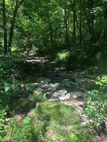 1915 Mount Zion Rd, Frankfort, KY 40601
